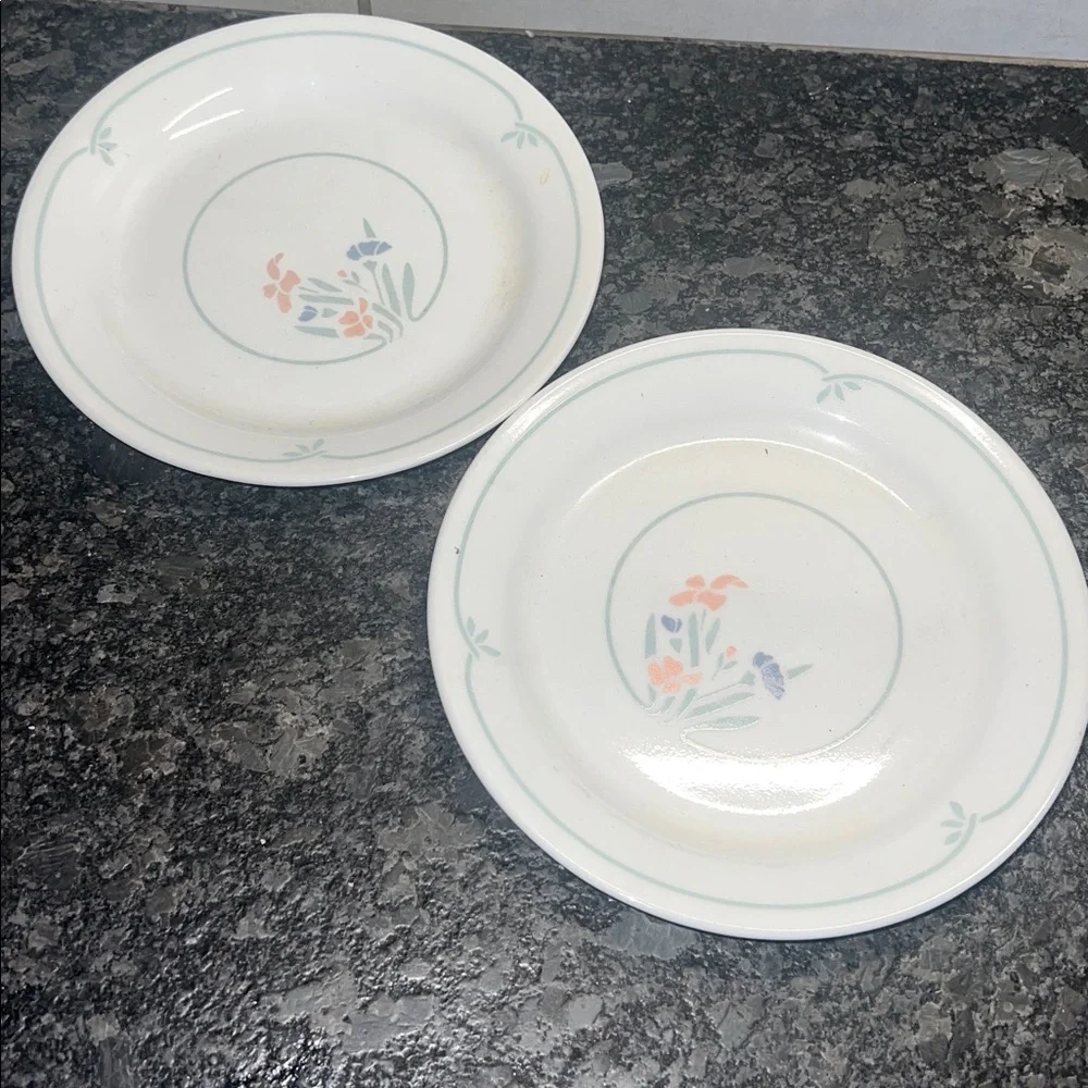 2 Salad plates. STENCIL GARDEN BY CORELLE. RETIRED/DISCONTINUED